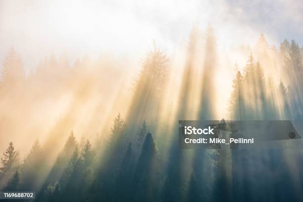 Sun Light Through Fog And Clouds Above The Forest Stock Photo - Download Image Now - Miracle, Sunbeam, Fog