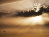 sonnenlicht.jpg?b=1&s=170x170&k=20&c=omJ9rXmvb0lqt9JSpRbUbEK2XoKmjPM8wXS6wGKCTzM=