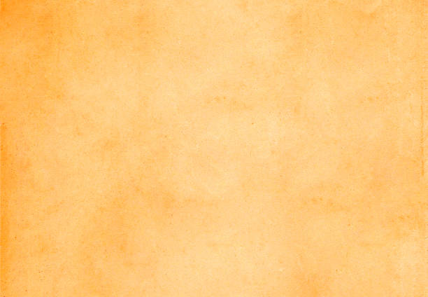 istock Simple old light beige weathered vintage paper parchment textured background. 1169695754