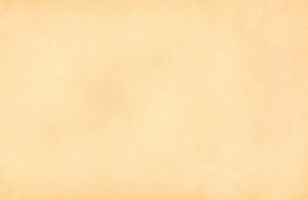 istock Simple old light beige weathered vintage paper parchment textured background. 1169697021