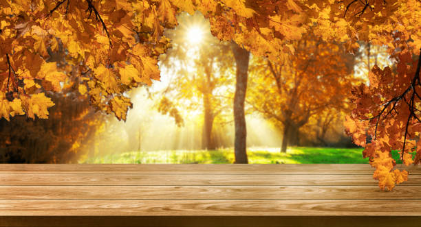 istock Wood table with blur beautiful background for your product display. 1169700025