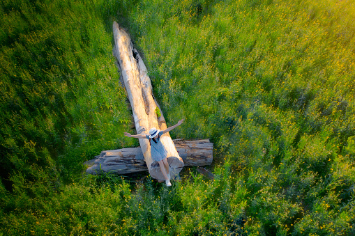 woman girl enjoy and open hand up in the air on the timber log at middle of wildflowers field