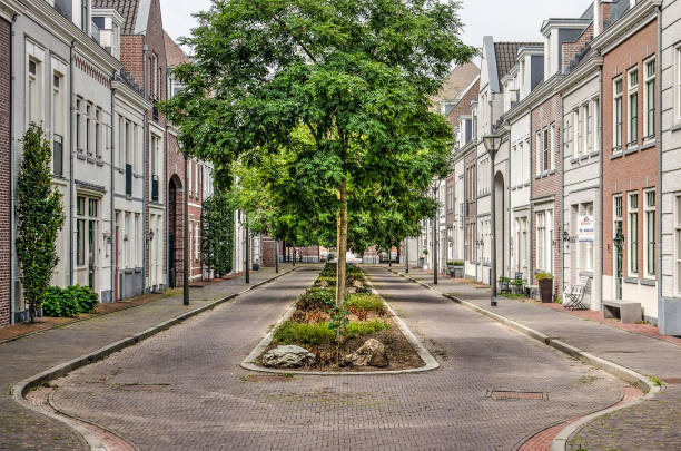 Post Modern Street in Brandevoort Helmond, The Netherlands, August 16, 2019: street lined with houses in a neaclassicist style, with a row of trees in the middel, in postmodern neighbourhood Brandevoort new urbanism stock pictures, royalty-free photos & images