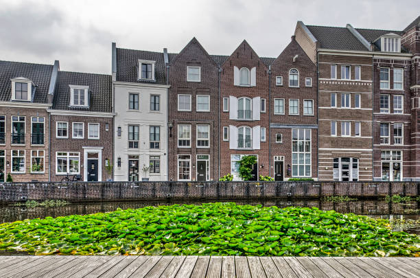 Postmodern housing and water lilies Helmond, The Netherlands, August 16, 2019: view from a wooden platform across a large cluster of water lilies towards postmodern quay houses in Brandevoort neighbourhood new urbanism stock pictures, royalty-free photos & images