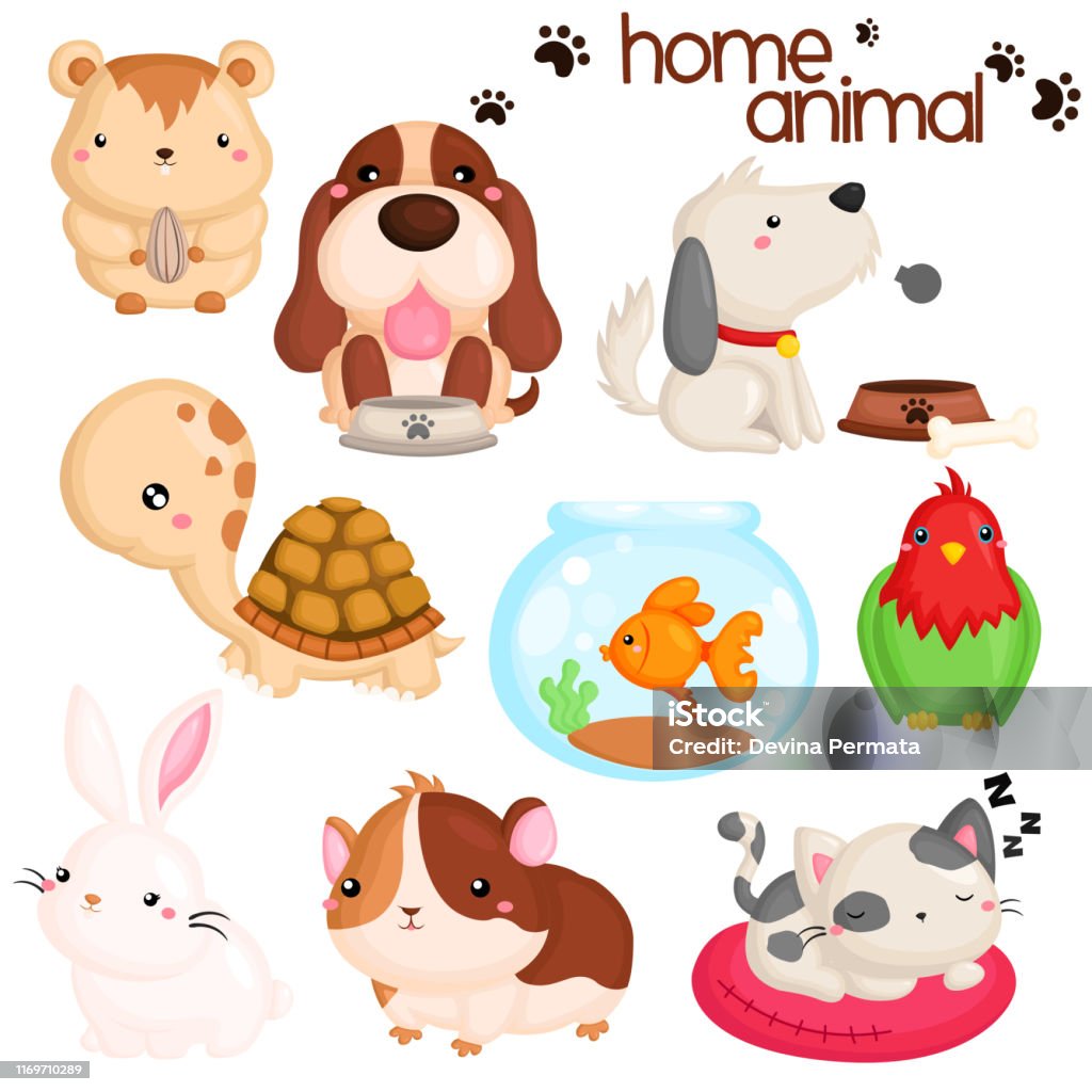 Home Pet Vector Set Stock Illustration - Download Image Now - Cute, Fish,  Fishbowl - iStock