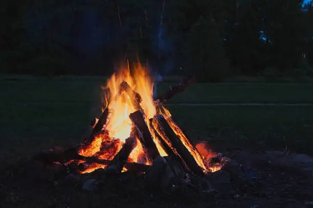 burning bonfire on a summer evening next to forest