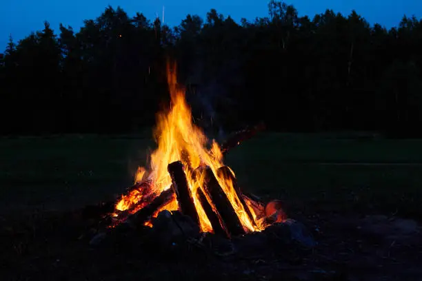 burning bonfire on a summer evening next to forest