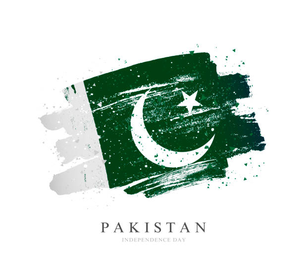 istock Flag of Pakistan. Vector illustration on a white background. 1169711577
