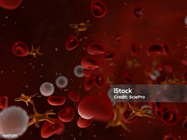 Transmissão Em Fluxo De Sangue - Fotografias de stock e mais imagens de Plaqueta Sanguínea - Plaqueta Sanguínea, Branco, Glóbulo Vermelho