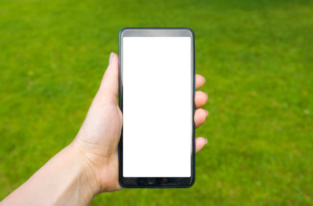 istock Hand holding blank screen smart phone in park 1169714067