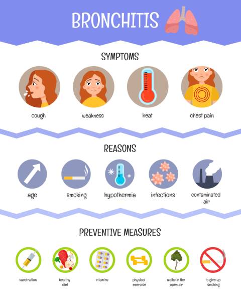 Bronchitis Visual 360+ Bronchitis Diagram Stock Illustrations, Royalty-Free Vector ...