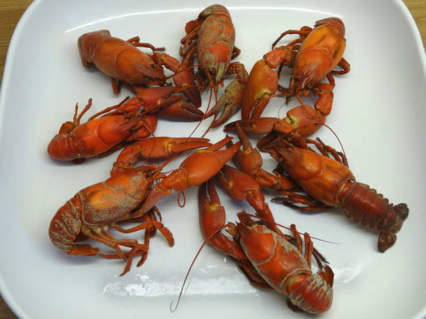 istock Image of American crayfish seafood shellfish in white plate already boiled and cooked for dinner, ready to eat crayfish turns red with sharp claws caught from freshwater river in Europe UK as introduced invasive species in England, healthy eating fish 1169718812