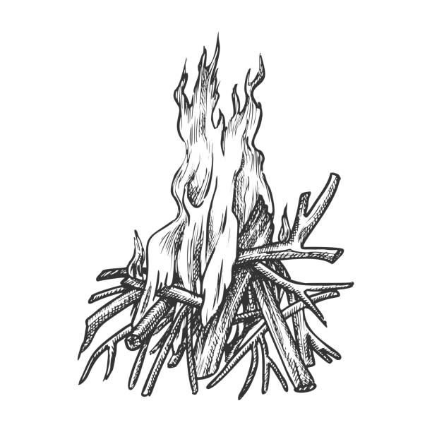 Traditional Burning Timbered Stick Vintage Vector Traditional Burning Timbered Stick Vintage Vector. Burning Tree Wood Branches For Inflaming Flame. Hot Temperature Controlled Fire Of Twigs Designed In Retro Style Black And White Illustration camping drawings stock illustrations