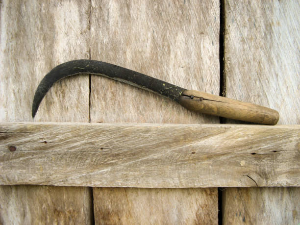 istock Sickle on wooden background 1169721235