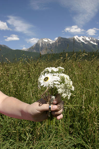 Montanhas e flores - fotografia de stock