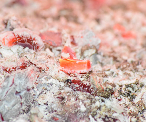 istock Hot coals in the stove 1169727014