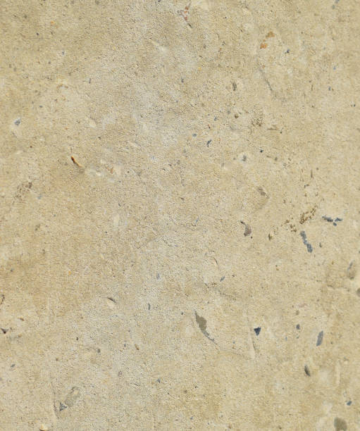 istock Background from the hardened cement mortar 1169727144