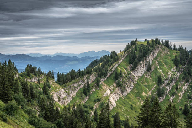autumnal atmosphere on the ridge of the Nagelfluh chain near Oberstaufen, Allgaeu area, Bavaria, Germans