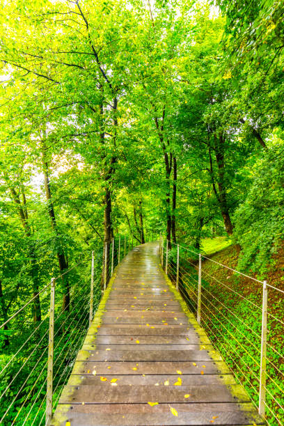 istock Park path in the Ljubljana city park 1169736006