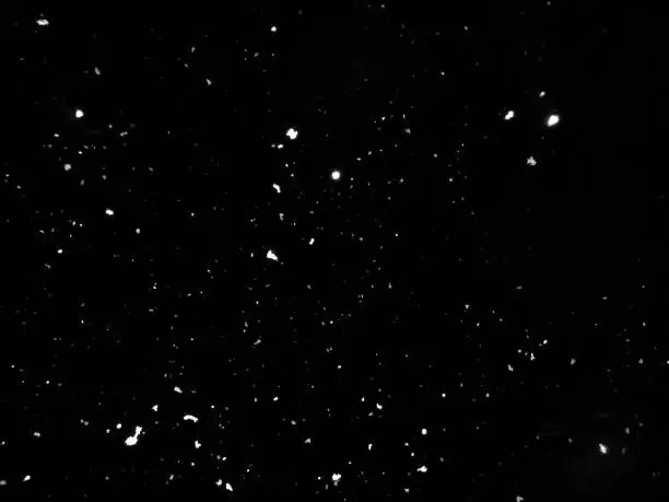 Photo of Footage of falling snow. Snow on black background. Close up