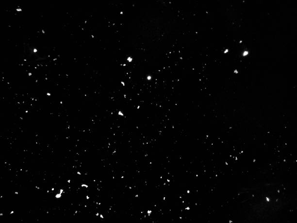 nagranie spadającego śniegu. śnieg na czarnym tle. zbliżenie - psd zdjęcia i obrazy z banku zdjęć