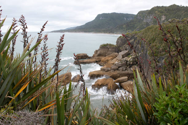 istock Coastal scenery at Paparoa National Park 1169737353