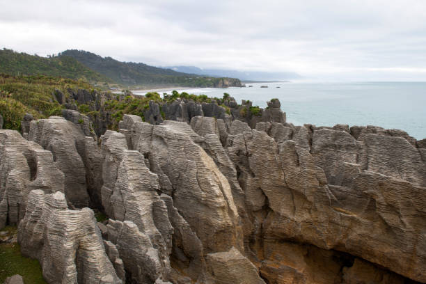 istock Pancake Rocks at Paparoa National Park 1169737371