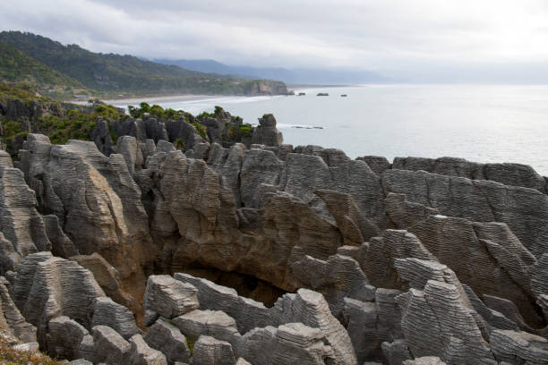 istock Pancake Rocks at Paparoa National Park 1169737430