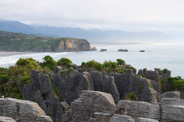 istock Pancake Rocks at Paparoa National Park 1169737471