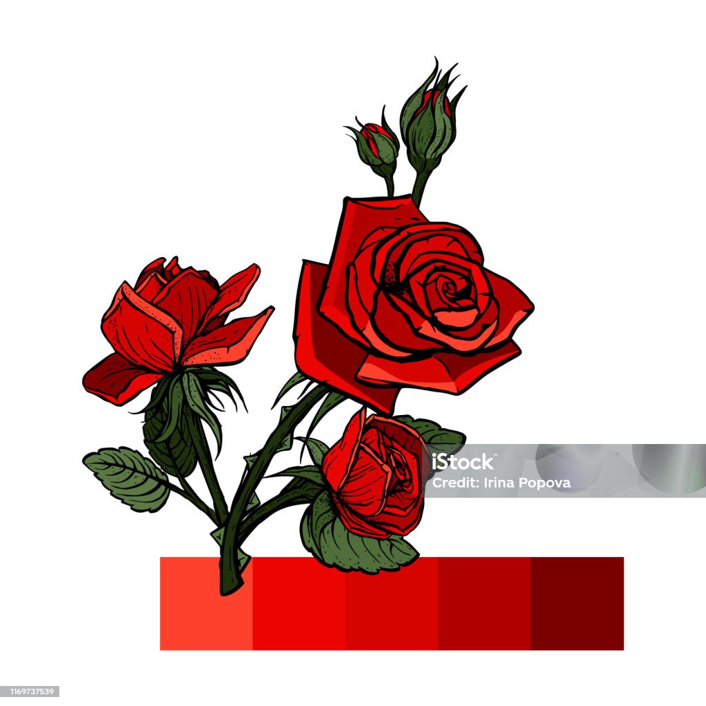 Composition Florale Guirlande De Fleur Des Roses Rouges De Velours
