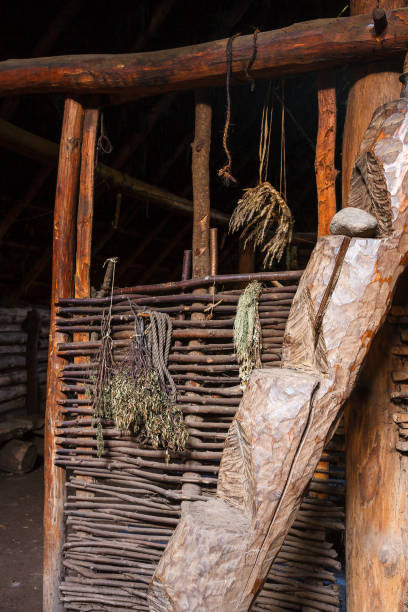 istock Log stair and dried plants 1169739165