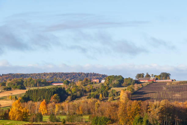 istock Countryside landscape view at autumn 1169739784