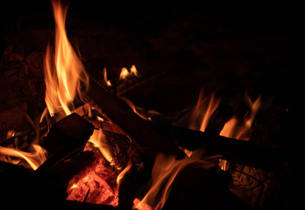 istock Camp Fire on black background. Flames of an open-air fire at night. 1169739949