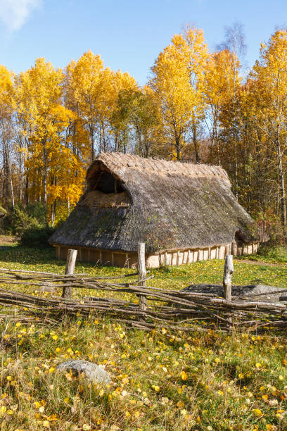 Longhouse in a meadow Longhouse in a meadow thatched roof hut straw grass hut stock pictures, royalty-free photos & images