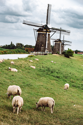 windmills in netherlands