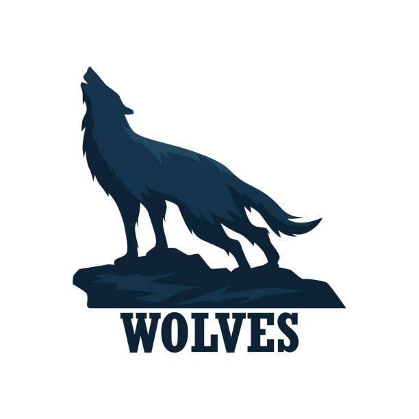 wolfsabzeichen isoliert auf weißem hintergrund. vektor-illustration - europäischer wolf stock-grafiken, -clipart, -cartoons und -symbole