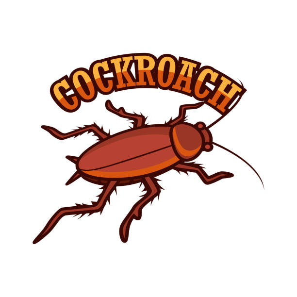 ilustraciones, imágenes clip art, dibujos animados e iconos de stock de insignia de cucaracha aislada en la ilustración vectorial de fondo blanco - vile