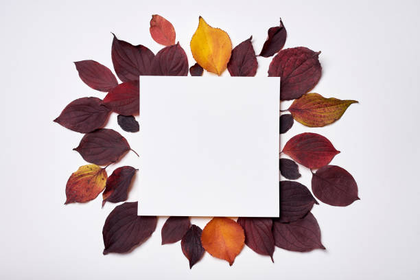 istock Autumn composition. Frame made of blank paper and leaves on white background. Fall concept. Autumn thanksgiving texture. Flat lay, top view, copy space 1169744193