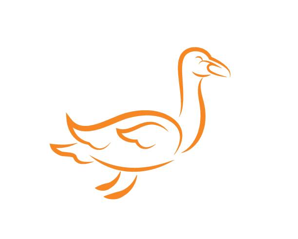 иллюстрация вектора логотипа лебедя - flamengo stock illustrations