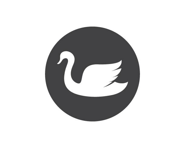 иллюстрация вектора логотипа лебедя - flamengo stock illustrations