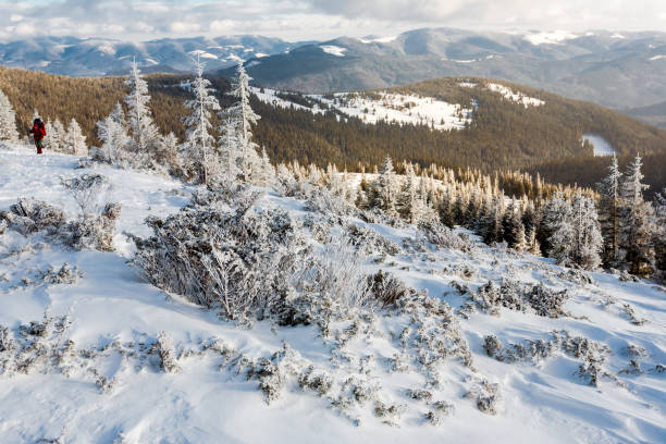 istock Snow covered trees in the mountains. 1169744765