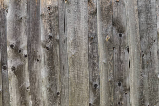 Parede de madeira velha. Textura de madeira para o fundo. - foto de acervo