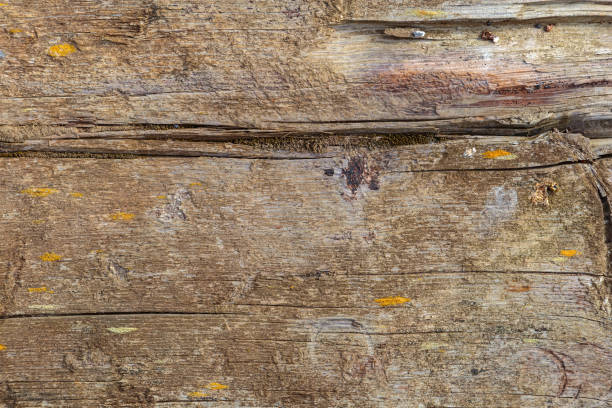 Parede de madeira velha. Textura de madeira para o fundo. - foto de acervo