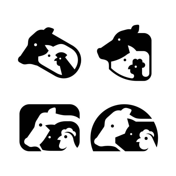ilustrações, clipart, desenhos animados e ícones de jogo do logotipo dos animais de exploração agrícola - domestic pig agriculture farm animal