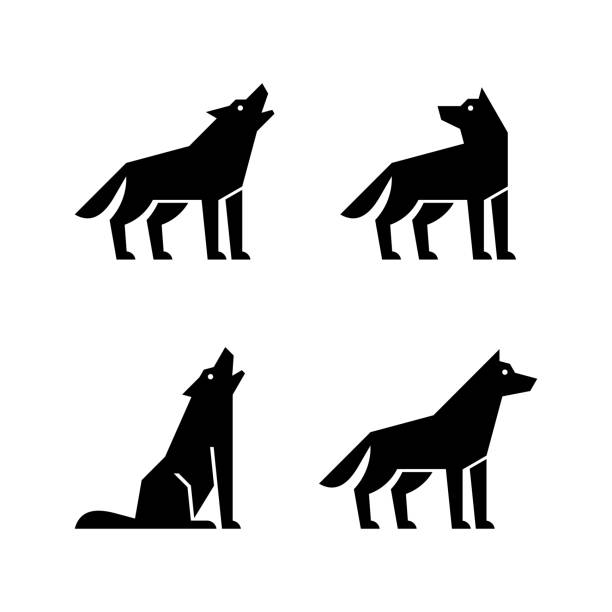 Set of Wolf Set of Wolf . Icon design. Template elements wolf stock illustrations