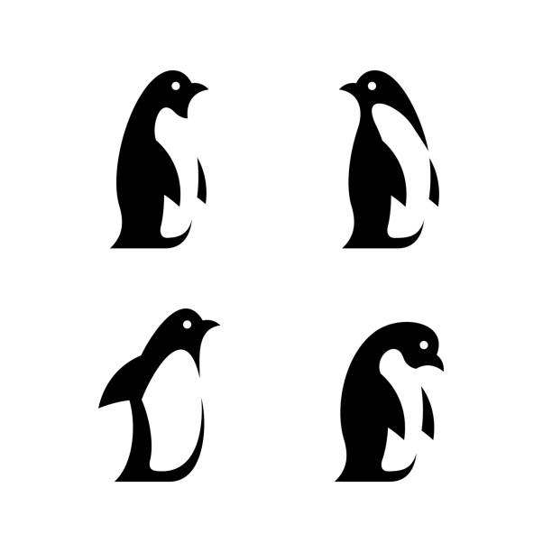 satz von pinguin-logo - penguin stock-grafiken, -clipart, -cartoons und -symbole