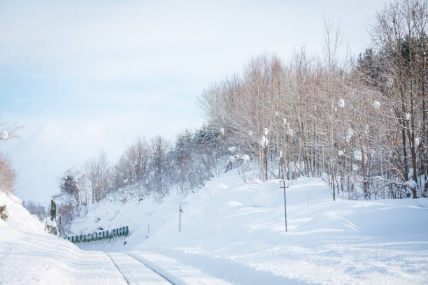 Snowy landscape - Canada