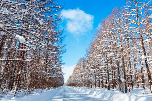 Hokkaido, Asahikawa, Asia, Biei Town, Furano Basin