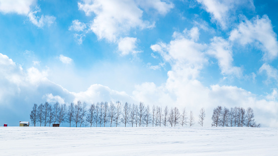 Biei Town, Hokkaido, Japan, Agriculture, Backgrounds