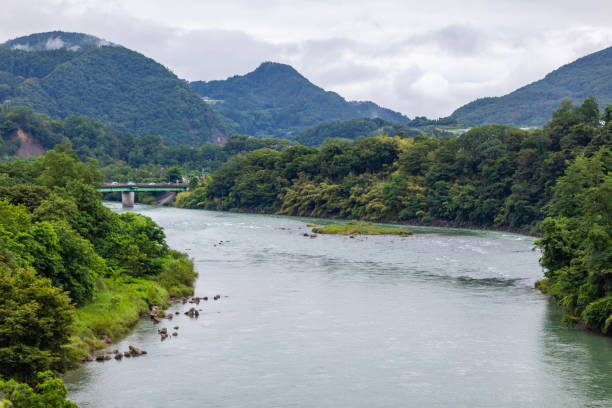 istock Summer green valley river panoramic landscape. Green nature river panorama. 1169750025
